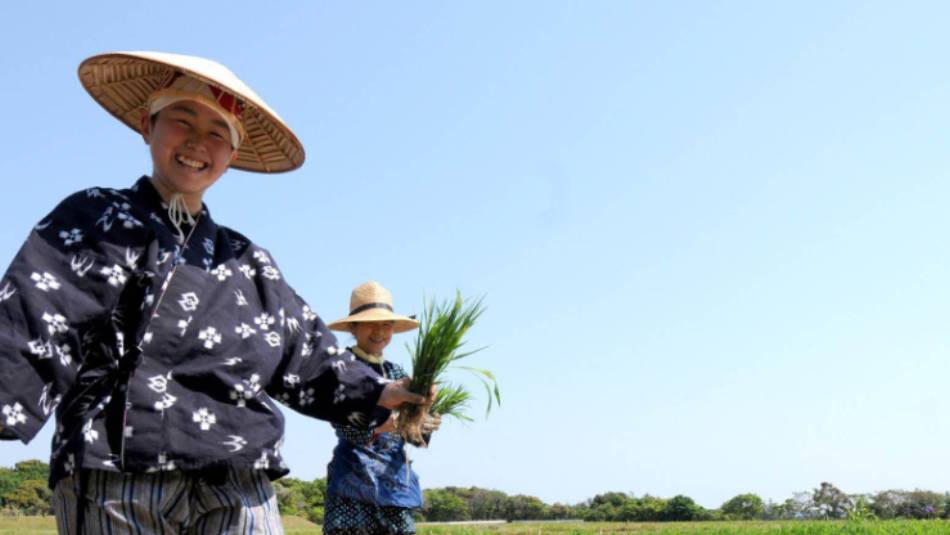 Rice farmers in Japan | Aaron Russ
