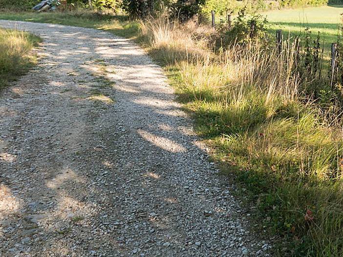 Enjoy the shadow on an early autumn day in France's Tarn region | Charles Hawes