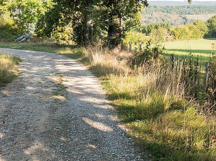 Enjoy the shadow on an early autumn day in France's Tarn region | Charles Hawes