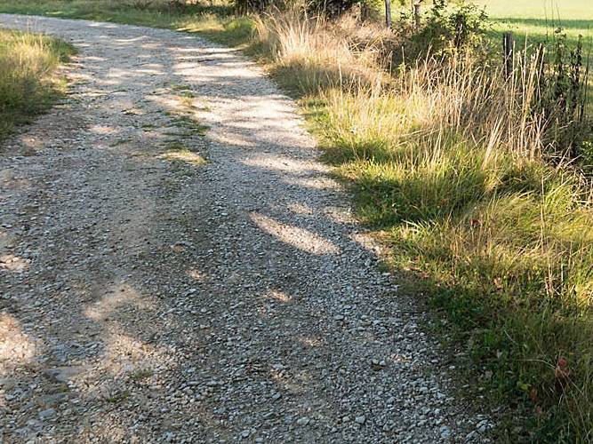 Enjoy the shadow on an early autumn day in France's Tarn region | Charles Hawes