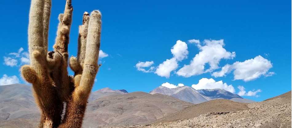 Greenhouse at Finca El Toro School, Argentina | Fundación Unir