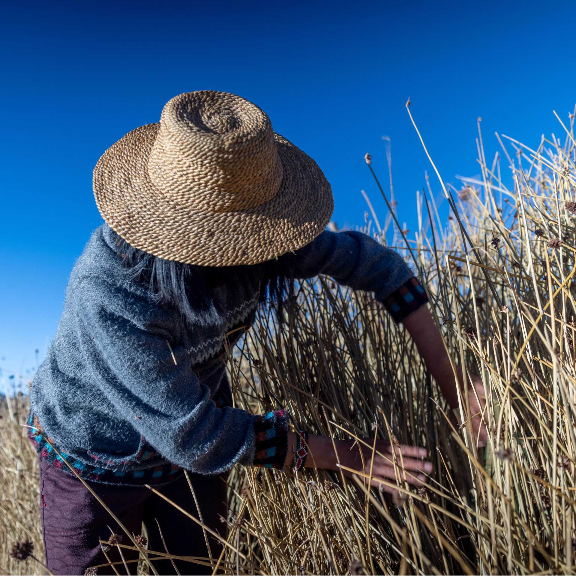 Restoration of Uru Uru Lake, Bolivia, affected by hazardous mining activities, plastic pollution, and climate change