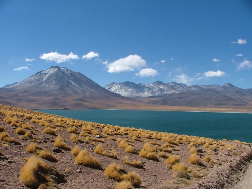 Altiplanic Lagoon near San Pedro de Atacama, Chile