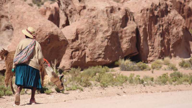 There is plenty of wildlife in Atacama