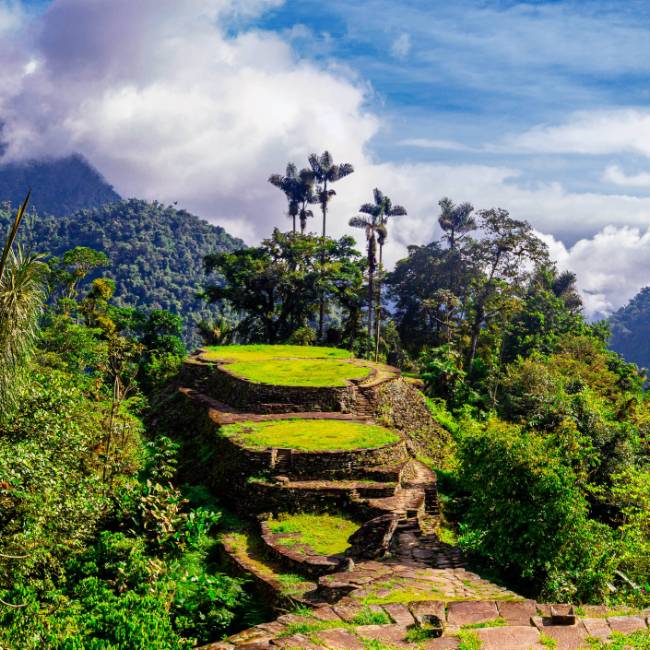 Colombia's Lost City
