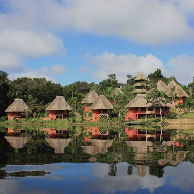 Accommodation at Napo Wildlife Center