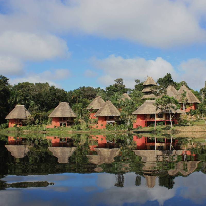 Accommodation at Napo Wildlife Center