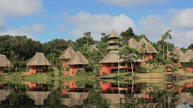 Accommodation at Napo Wildlife Center