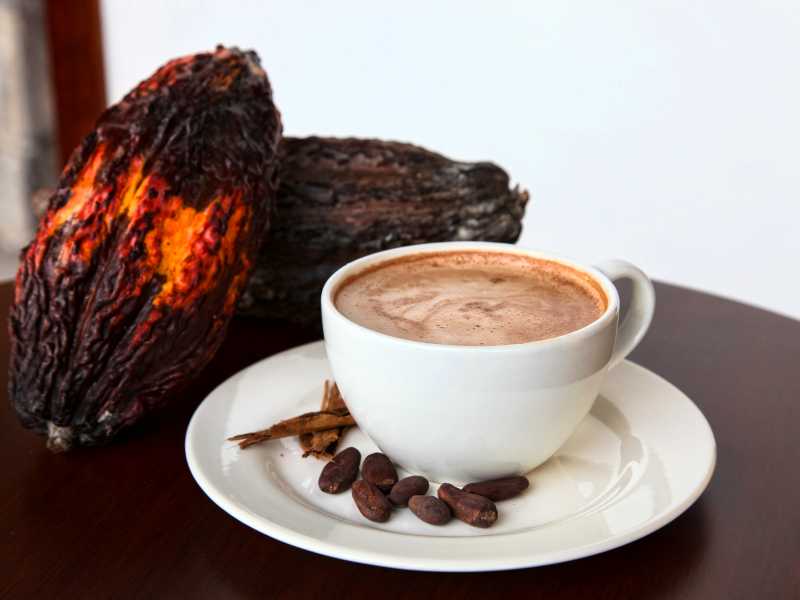 Enjoying a warm chocolatey drink after the cacao sharing ceremony