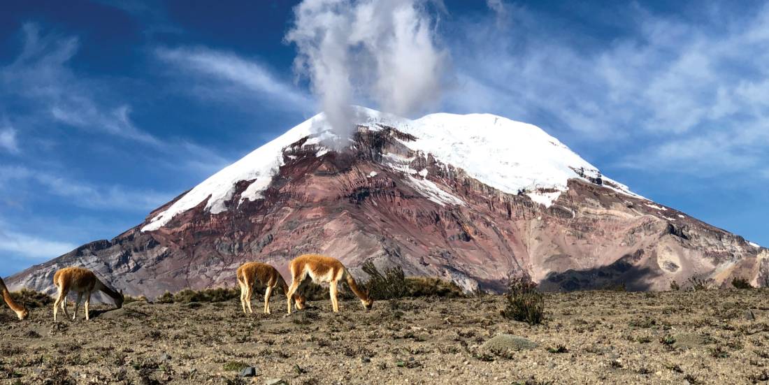 Snow capped views of Chimborazo Volcano |  <i>Heike Krumm</i>