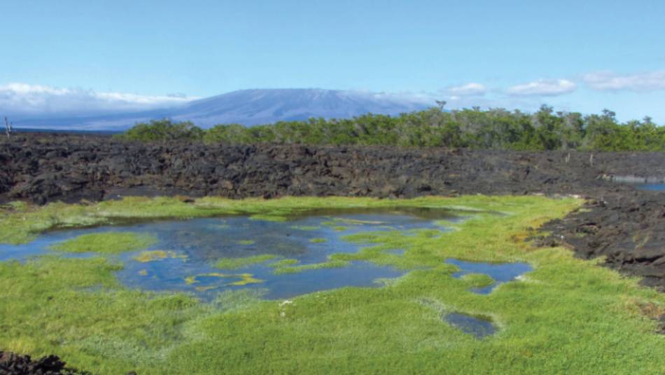 Rocky scenery on the Galapagos Islands | Marta Ticha