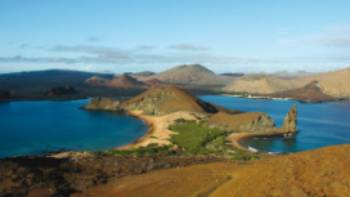 Explore the diverse ecosystem of the Galapagos Islands