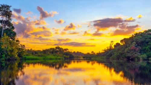 The sheer beauty of Yasuni National Park at sunset