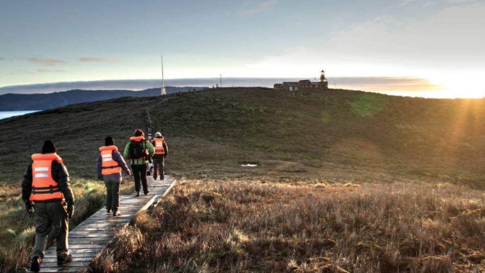 Exploring the beautiful Cape Horn with Australis