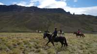 Hooves echo through the silence of Patagonia’s vast wilderness