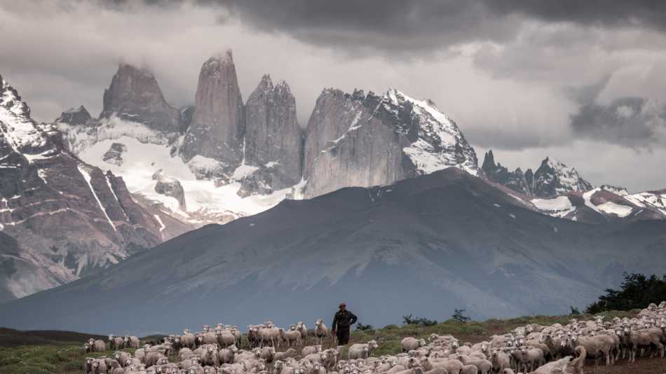 Where mountains meet the saddle