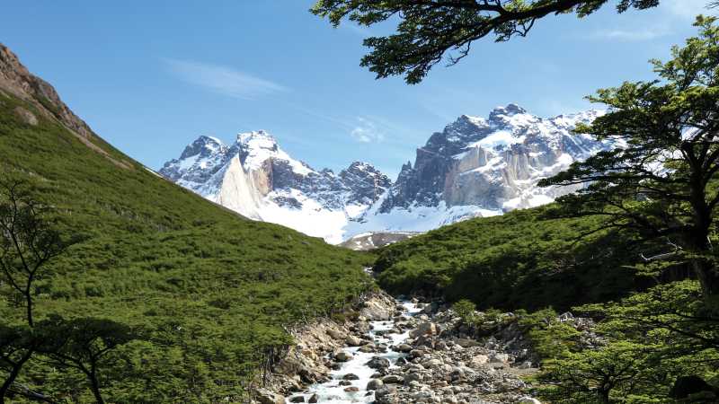 Verdant landscapes in French Valley, Patagonia | Kyle Super