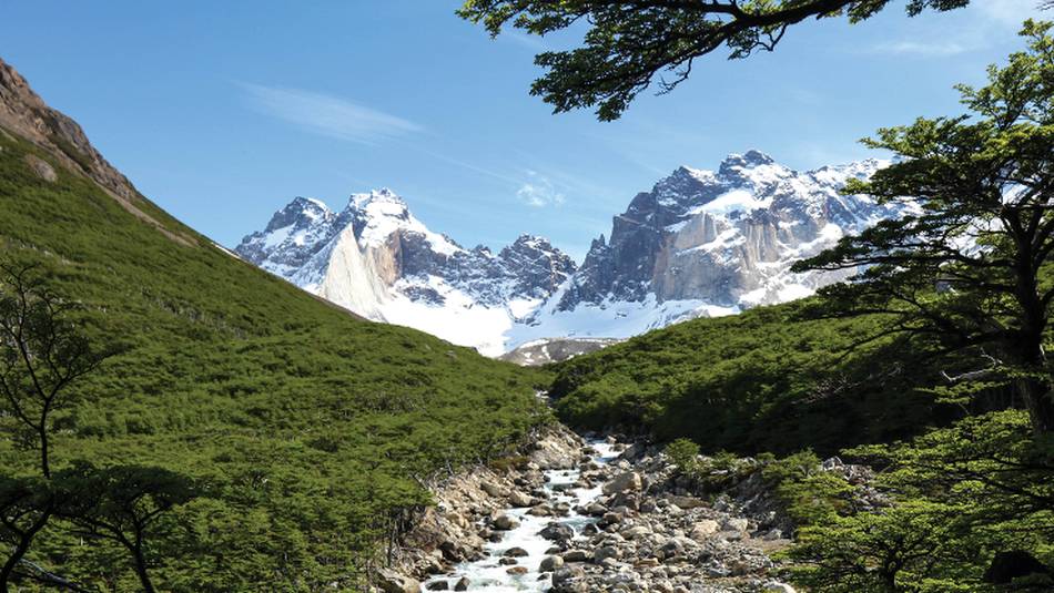 Verdant landscapes in French Valley, Patagonia | Kyle Super