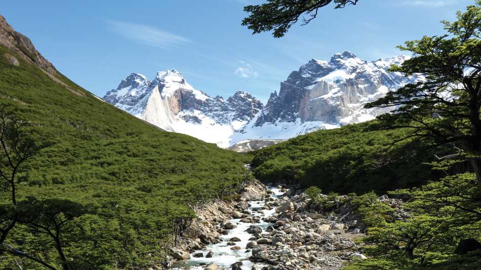 Verdant landscapes in French Valley, Patagonia | Kyle Super