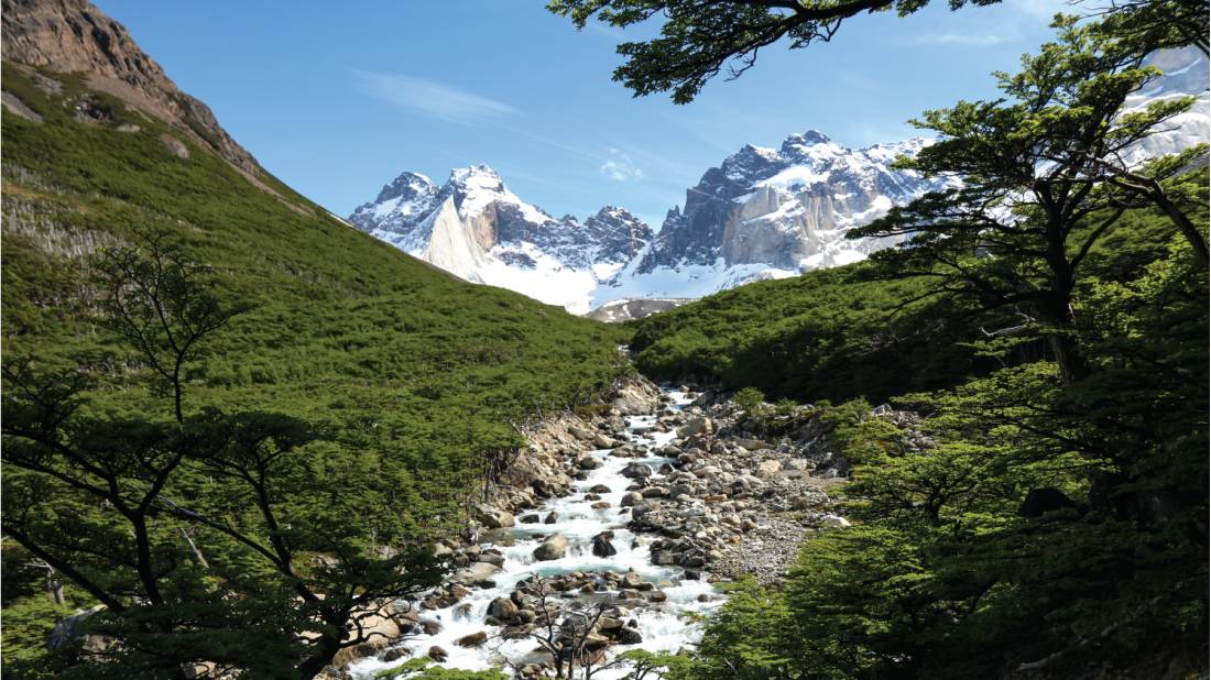 Verdant landscapes in French Valley, Patagonia |  <i>Kyle Super</i>