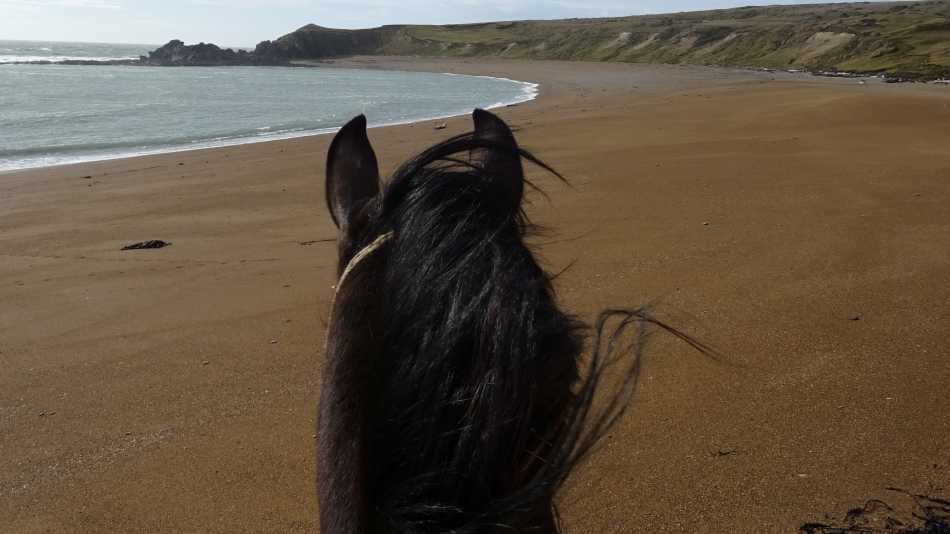 Endless horizons and steady hooves - exploring Patagonia’s wildest frontier.