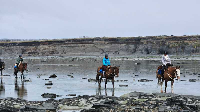 Trusting our horses through rivers, winds, and wilderness