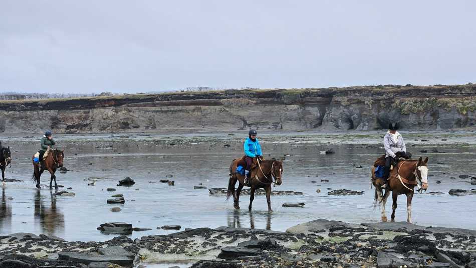 Trusting our horses through rivers, winds, and wilderness