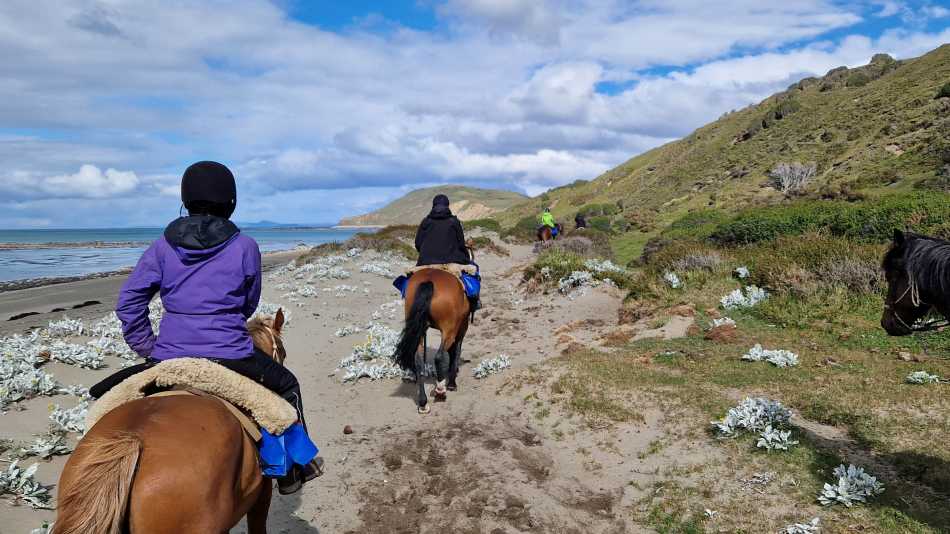 Riding through untouched landscapes where the Andes meet the sea