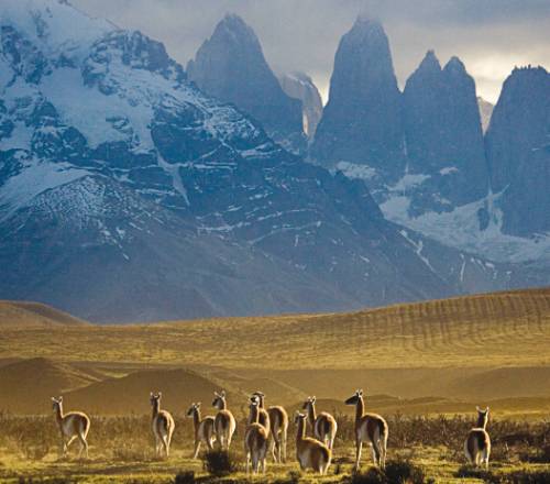 tourhub | World Expeditions | Torres del Paine Circuit 