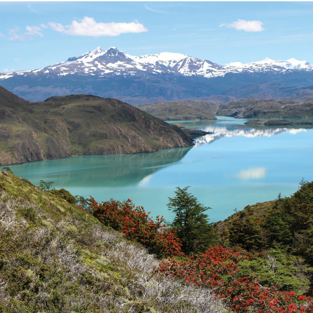 Spectacular landscapes of Torres Del Paine National Park |  <i>Kyle Super</i>
