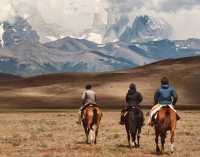 Hooves echo in the silence of Torres del Paine