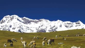 Ausangate Mountain, Peru,Istock Photos Ausangate Mountain in Andes (Cordillera Vilcanota) Peru
