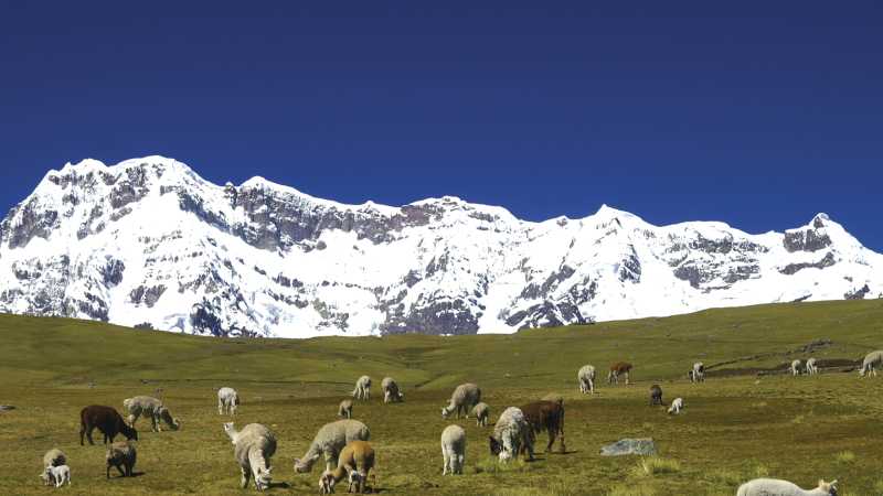 Ausangate Mountain in Andes (Cordillera Vilcanota) Peru