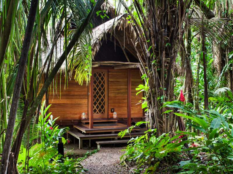 Our private lodge accommodation is a perfect base for your Amazon explorations