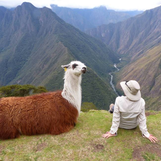 Making new friends on the Inca Trail | Bette Andrews
