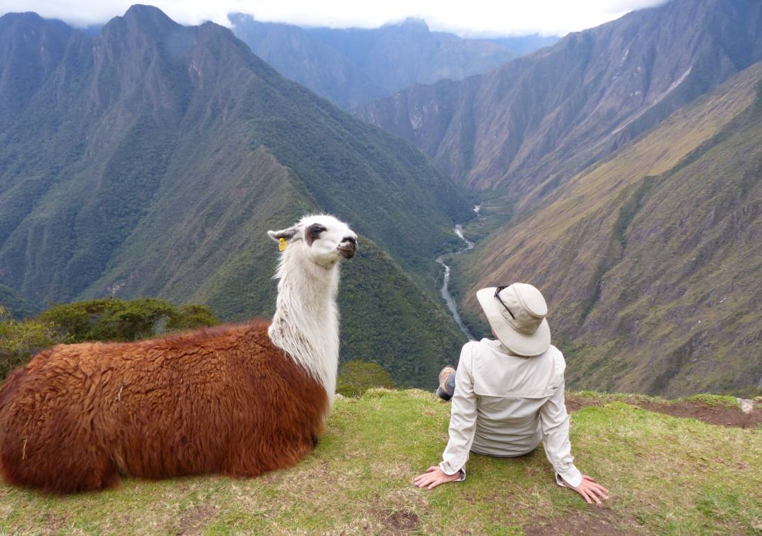 Making new friends on the Inca Trail |  <i>Bette Andrews</i>