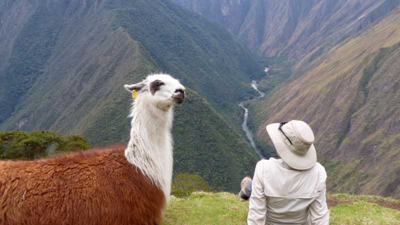 Making new friends on the Inca Trail | Bette Andrews