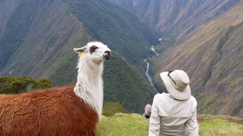 Making new friends on the Inca Trail | Bette Andrews