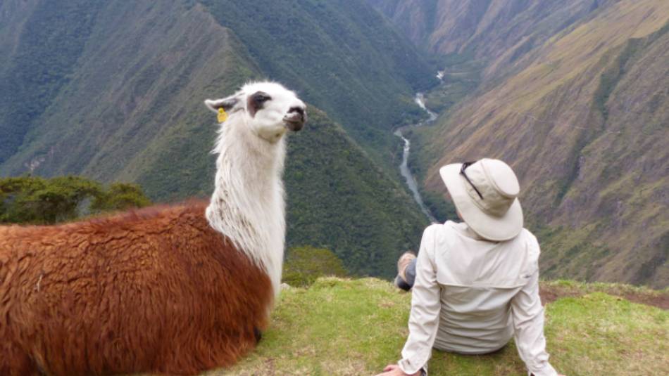 Making new friends on the Inca Trail | Bette Andrews