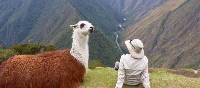 Making new friends on the Inca Trail | Bette Andrews