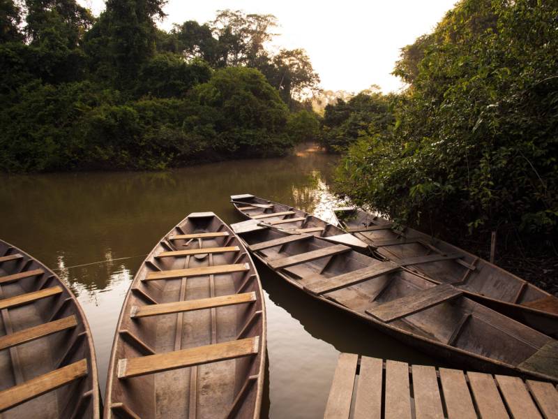 Spend the day exploring the amazing landscapes and wildlife in the Amazon, Peru