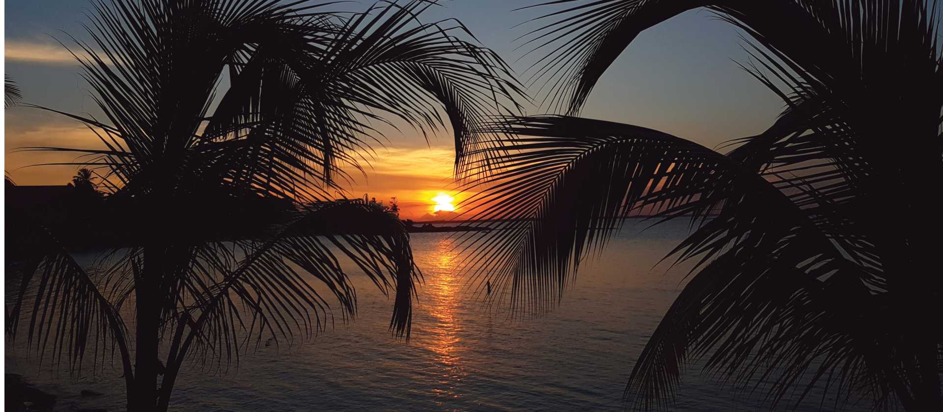 the three guianas: guyana, suriname & french guiana