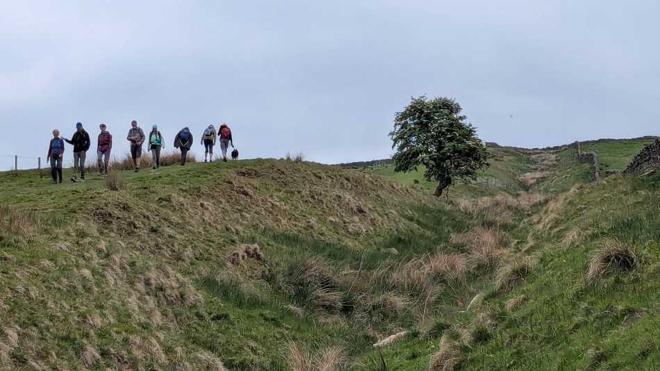 Follow Hadrian's Wall in England on a guided hiking holiday | John Millen