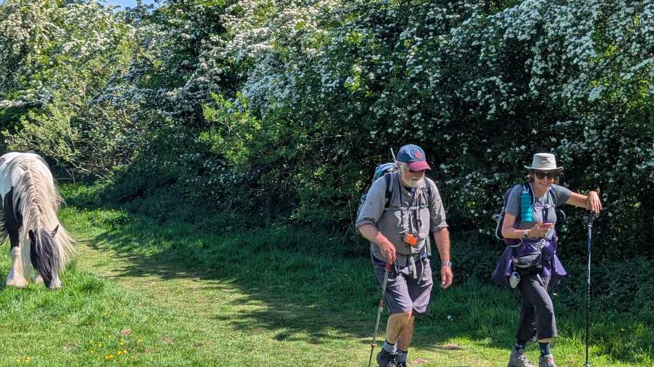 Follow Hadrian's Wall in England on a guided hiking holiday | John Millen