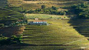 Douro_IMG_0769_Credit_AndreCarvalho,Andre Carvalho A quinta amidst the terraced Douro vineyards