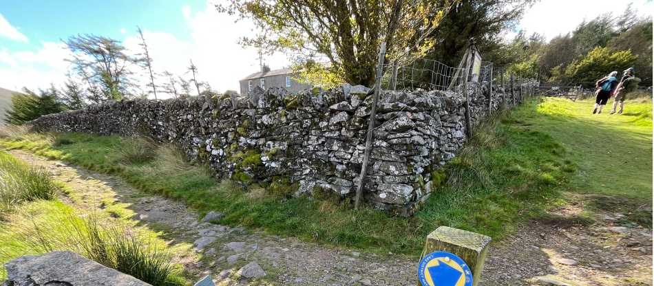 Restoring Skiddaw Forest, Regen 2030 Project | Fiona Marshall
