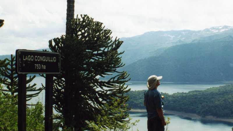 Stopping for a well deserved break at a lookout point in Conguillio National Park | Amity Tours