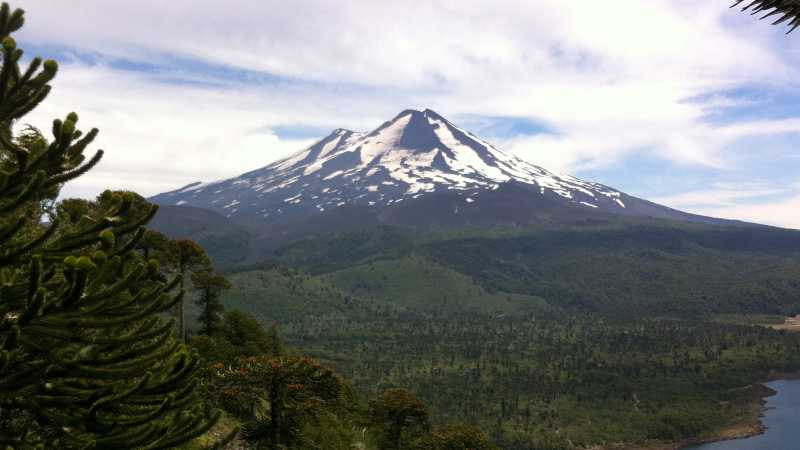 The snowy mountain tops in the distance in Conguillio National Park | Amity Tours