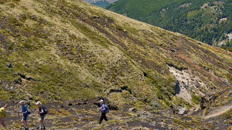 Trekking the rugged terrain of Pichillancahue Volcano in Villarrica National Park | Amity Tours