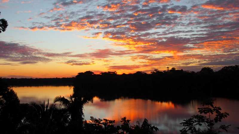 Sunset over the Amazon Rainforest | Lindsey Van Loon